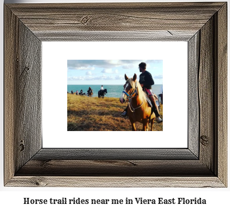 horse trail rides near me in Viera East, Florida